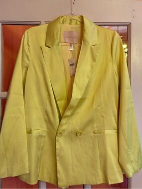 Hutch Butter Yellow Satin Double-Breasted Blazer